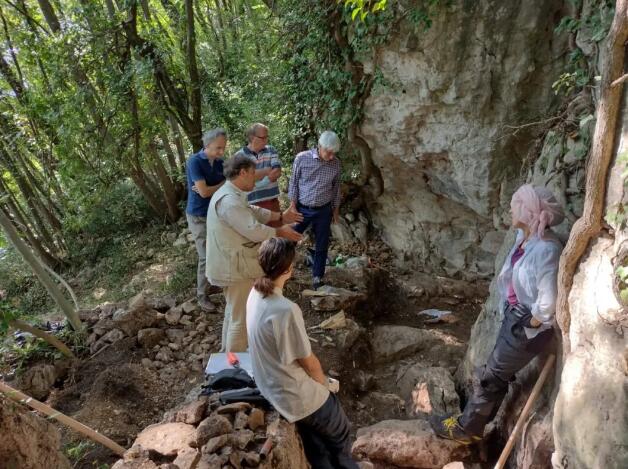 意大利瓦波利切拉地区发掘出6300年前人类种植葡萄藤遗迹