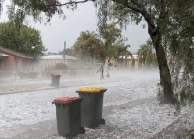 南澳葡萄园遭受强冰雹袭击，受损严重