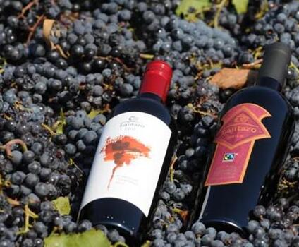 2021年智利葡萄酒产量或创历史新高