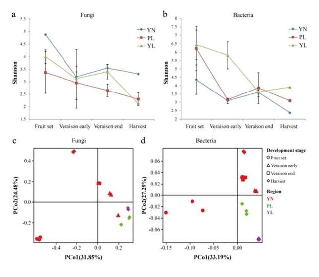 西农大学葡萄酒学院教授团队在酿酒葡萄表皮微生物多样性研究方面取得新进展