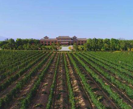银川市葡萄酒产业发展服务中心助推葡萄酒产业高质量发展