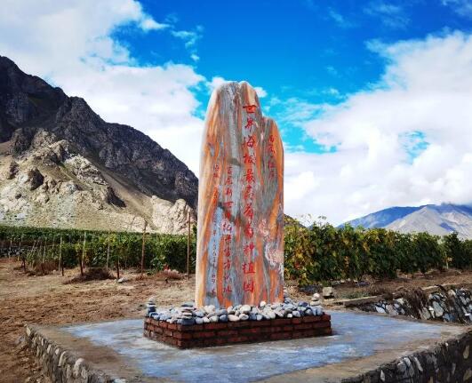 西藏葡萄酒企业计划开展雪域酒庄游