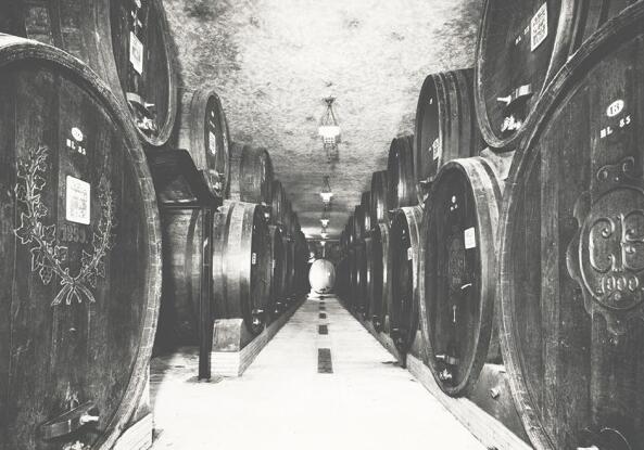 意大利顶级葡萄酒 阿玛罗尼（Amarone）三剑客