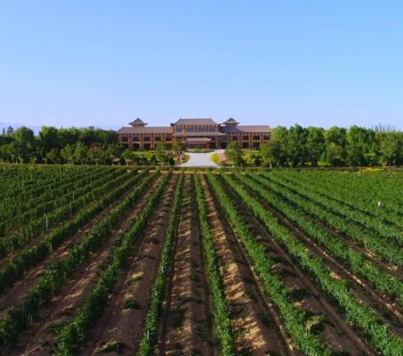 宁夏回族自治区葡萄酒产业工作会议在银川市召开
