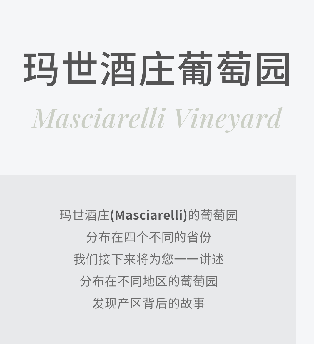 玛世酒庄(Masciarelli)葡萄园系列｜基耶蒂葡萄园