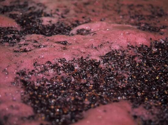 2022年7月14日起，IGP级别葡萄酒必须全部在产区内进行发酵酿造