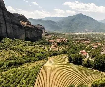 2021年希腊葡萄酒产量同比增长8.13%