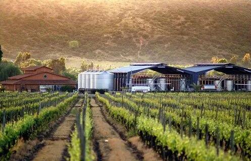 2022年1-3月，智利葡萄酒出口量额都呈现增长势头