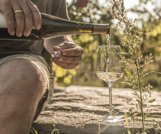 奥地利葡萄酒出口再创新纪录