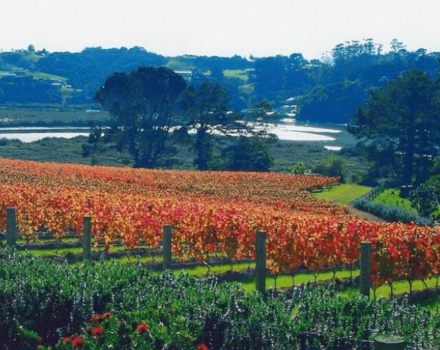 莫阿娜庄园 新西兰唯一有机种植的精品庄园