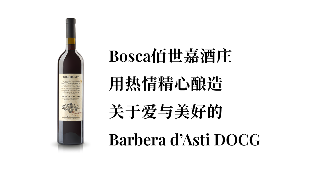 月享佳酿｜芬芳与人享，迷人的Barbera D’Asti DOCG红葡萄酒