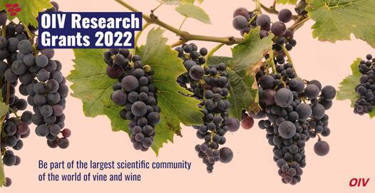 国际葡萄与葡萄酒组织（OIV）2022年度研究项目开启