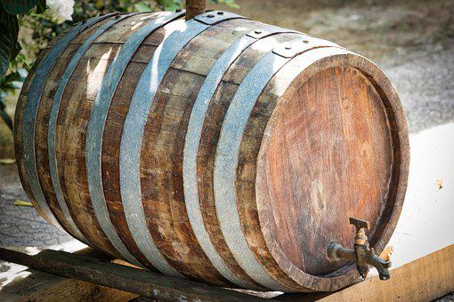 橡木是什么？橡木桶和未橡木桶葡萄酒指南