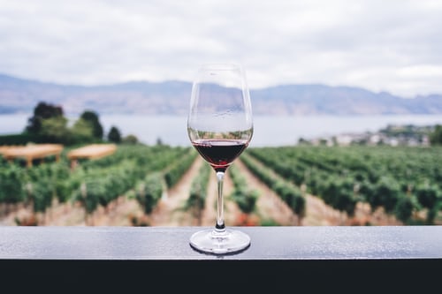 四个侍酒师认可的建议，为你的品酒选择完美的葡萄酒