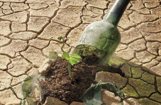 智利葡萄酒产业遭受干旱严重威胁