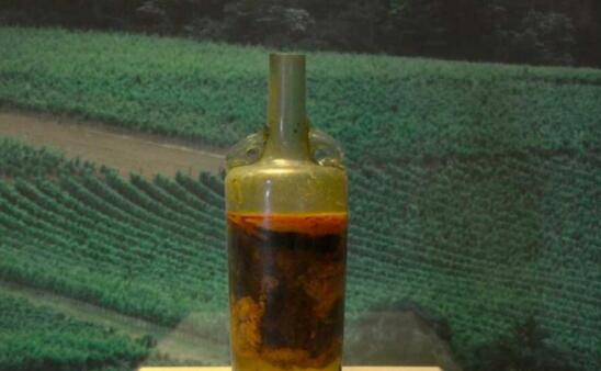 专家表示：在瓶子里密封了1700年的葡萄酒还能喝