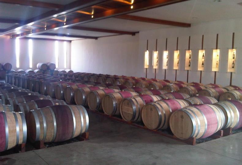 圣何塞酒庄50多年技术传承 成为智利葡萄酒外销酒庄的翘楚之一