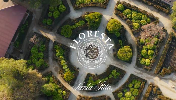 圣丽塔秘境系列（Floresta），展示智利风土特色的代表作
