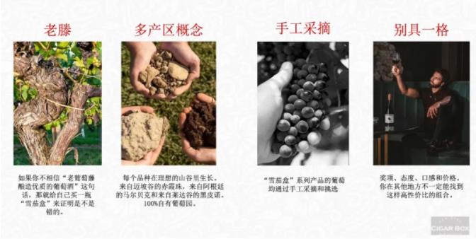 圣丽塔集团·雪茄盒系列酒款进入中国市场