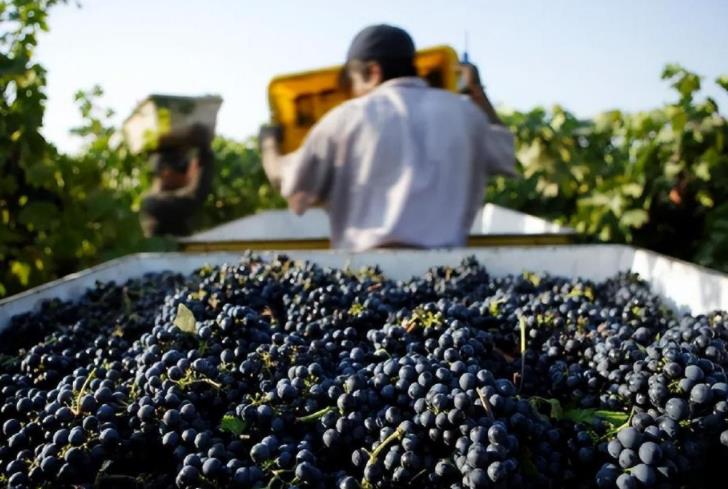 葡萄酒行业进行了2022年全美经济影响研究 美国葡萄酒行业的形式