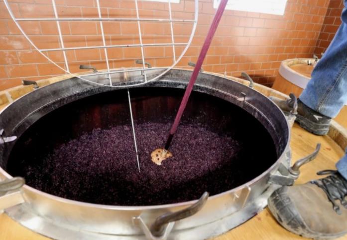 法国葡萄酒产量过剩 预把葡萄酒蒸馏成工业酒精以减少库存
