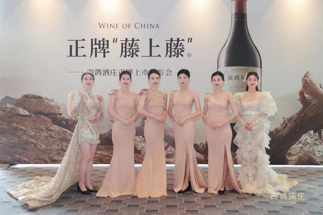 西鸽发布正牌“藤上藤”：领塑中国精品葡萄酒“价值标杆”