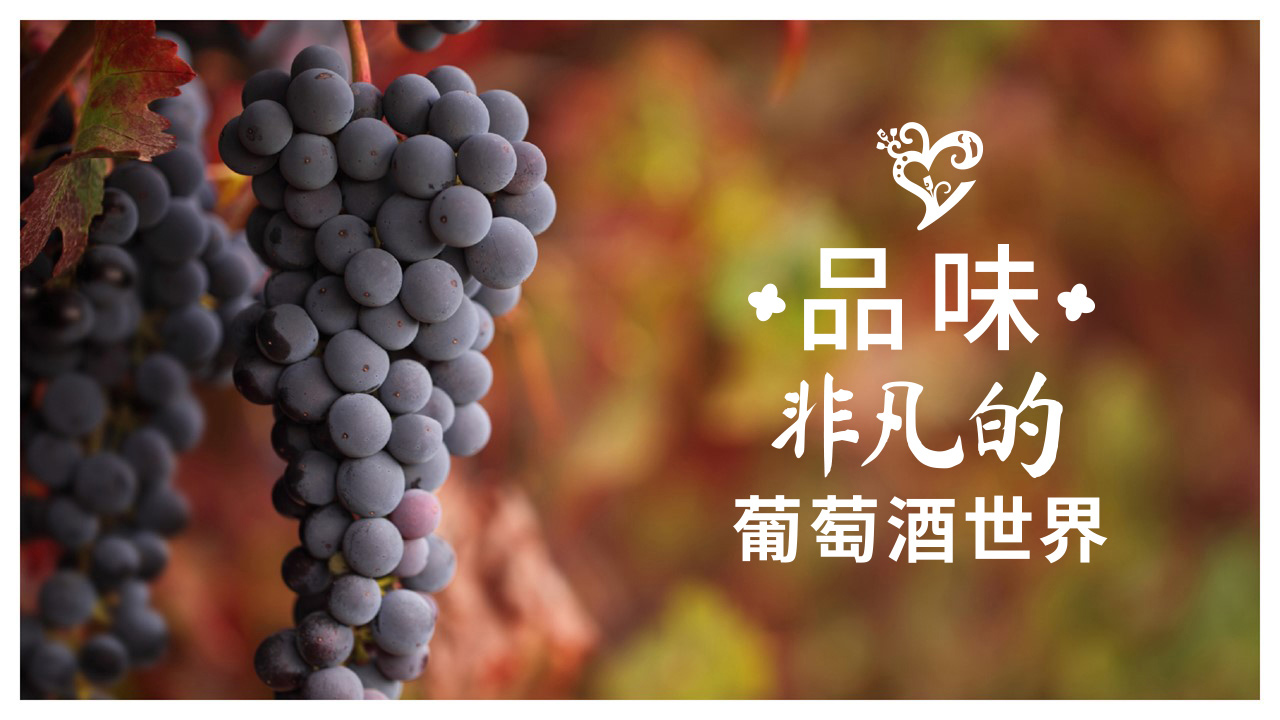 品味非凡 葡萄牙葡萄酒进一步深化在华教育项目