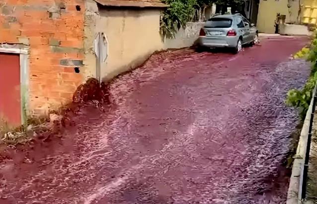 葡萄牙知名酿酒厂发生酒罐爆裂 近220万升的葡萄酒倾泻而出形成红酒河流