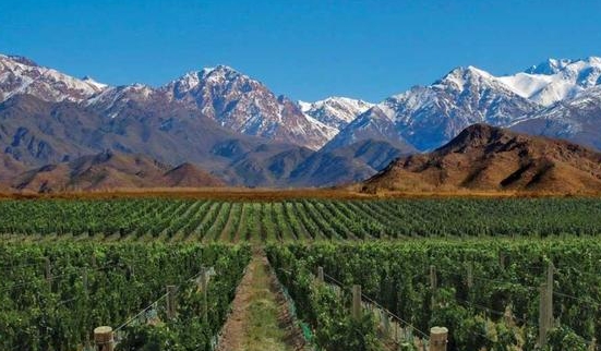 阿根廷葡萄酒出口关税或将提高8%