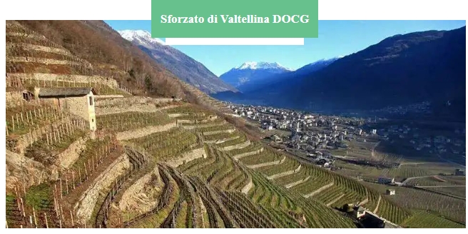  比巴罗洛更浓郁强劲的Sforzato di Valtellina DOCG石佛多产区