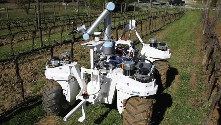 酩悦开发新型葡萄园机器人成本约为13万英镑